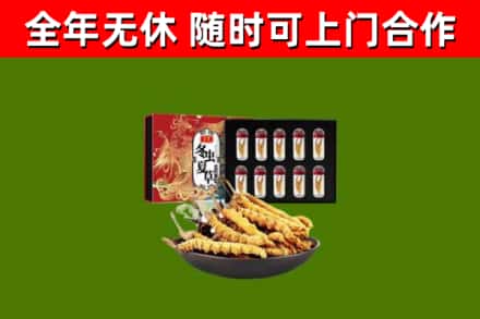 田阳区烟酒回收冬虫夏草礼盒.jpg